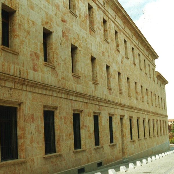 WhatsApp Image 2026-03-09 at 19.52.04