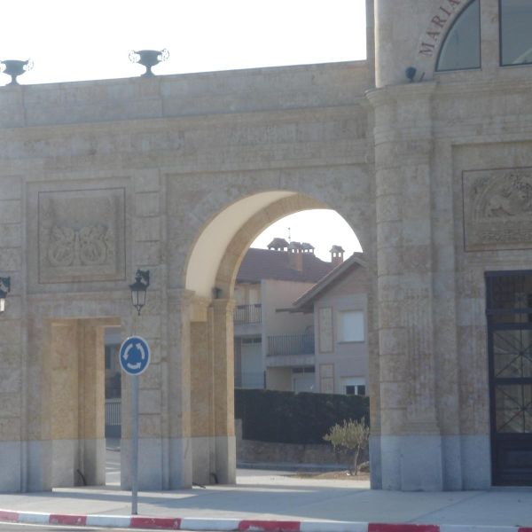 WhatsApp Image 2026-03-09 at 19.52.34