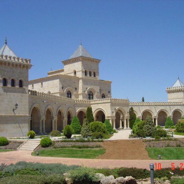 WhatsApp Image 2026-03-09 at 19.53.50